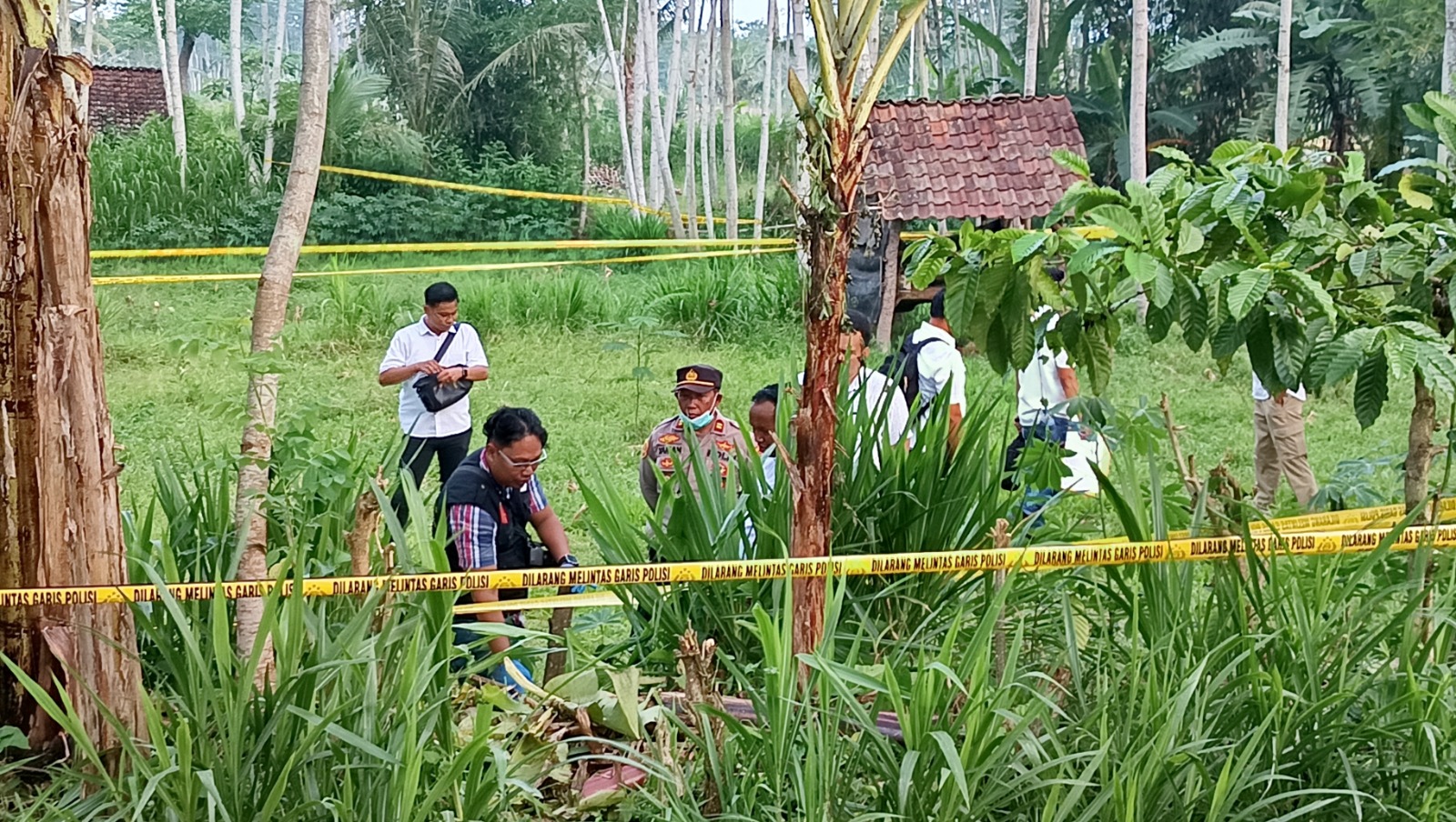 Kapolsek Kalibaru Iptu Yaman dan anggota Satreskrim Polresta Banyuwangi melakukan olah TKP di kebun sengon Kecamatan Kalibaru, Rabu (13/11).