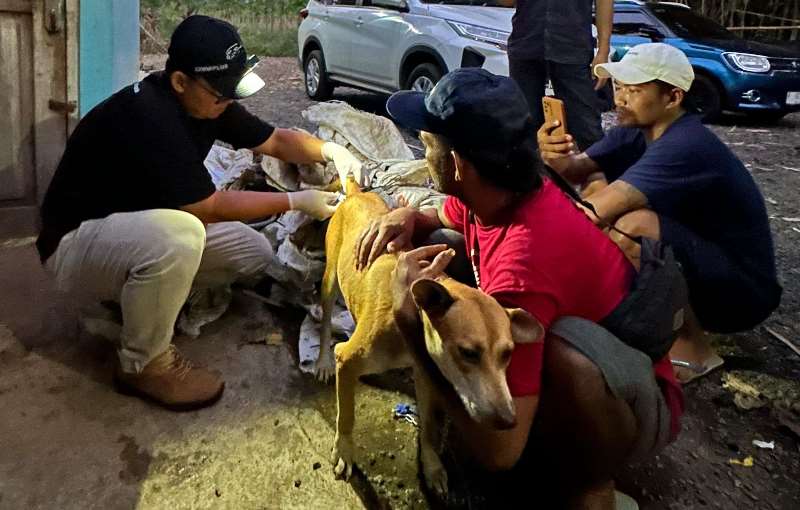 BERI SUNTIKAN: Ketua PDHI wilayah Jatim IV Banyuwangi drh Risa Isna Fahziar menyuntik salah satu anjing yang diare di tempat penampungan anjing Dsn Trembelang, Desa/Kecamatan Cluring pada Rabu (20/11)