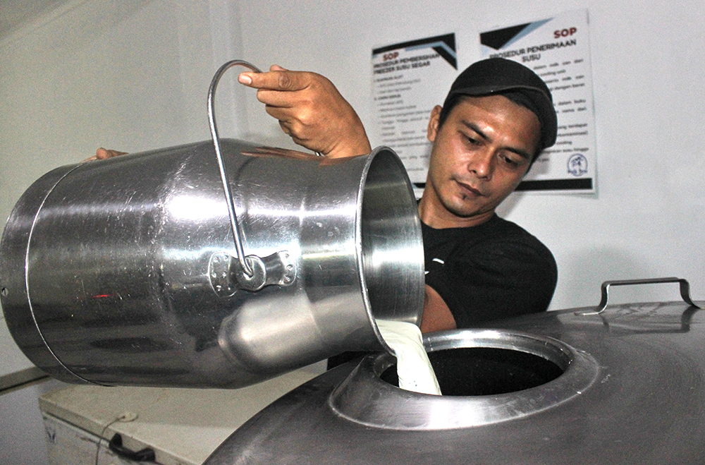 SEGAR: Petugas Dairy Farm Margo Utomo memasukkan susu segar ke dalam wadah untuk disimpan di mesin pendingin sebelum di-packing.