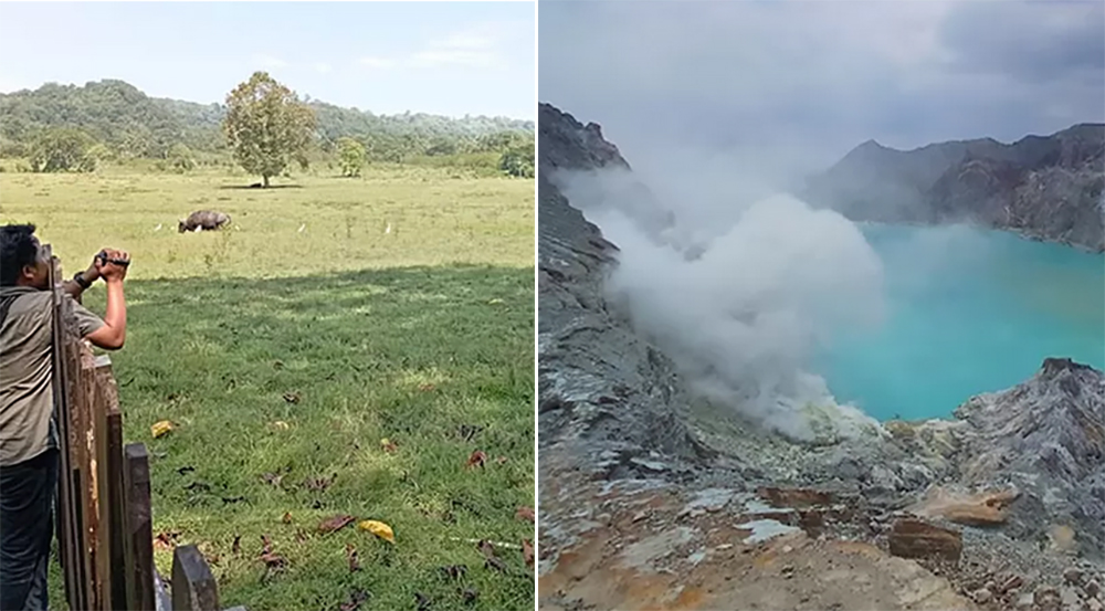 Taman Nasional Alas Purwo (kiri) dan Kawah Ijen Banyuwangi, memilih tutup selama perhelatan Pilkada Serentak 2024.