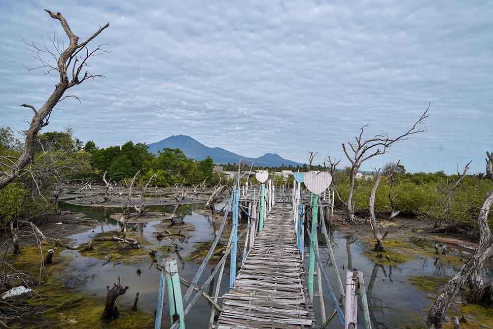 EKSTOTIK: Mangrove Center Bengkak (MCB) Banyuwangi merupakan pantai berpasir putih paling dekat dengan pusat kota Banyuwangi.