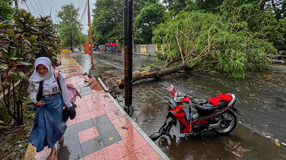 Gara-gara angin kencang, pohon besar yang tumbuh di dekat kampus FIKKIA Unair Jalan Wijaya Kusuma roboh, Senin (9/12).