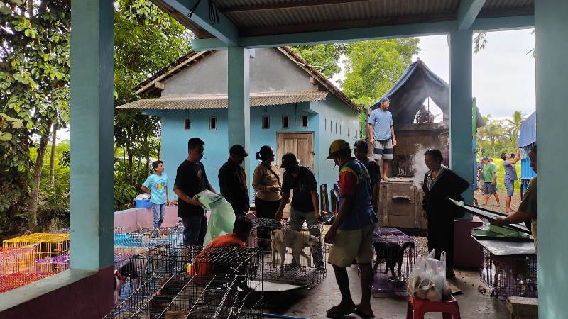 DILAYAR: Sebanyak 61 ekor yang sebulan diamankan di Dusun Trembelang, Desa/Kecamatan Cluring diangkut truk untuk dikirim ke Bogor pada Sabtu (21/12).