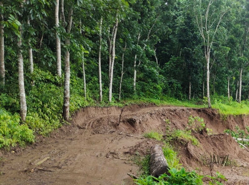 EROSI: Jalan menuju ke Dusun Sukamade, Desa Sarongan, Kecamatan Pesanggaran putus akibat tergerus air sungai kamis  (9/1).