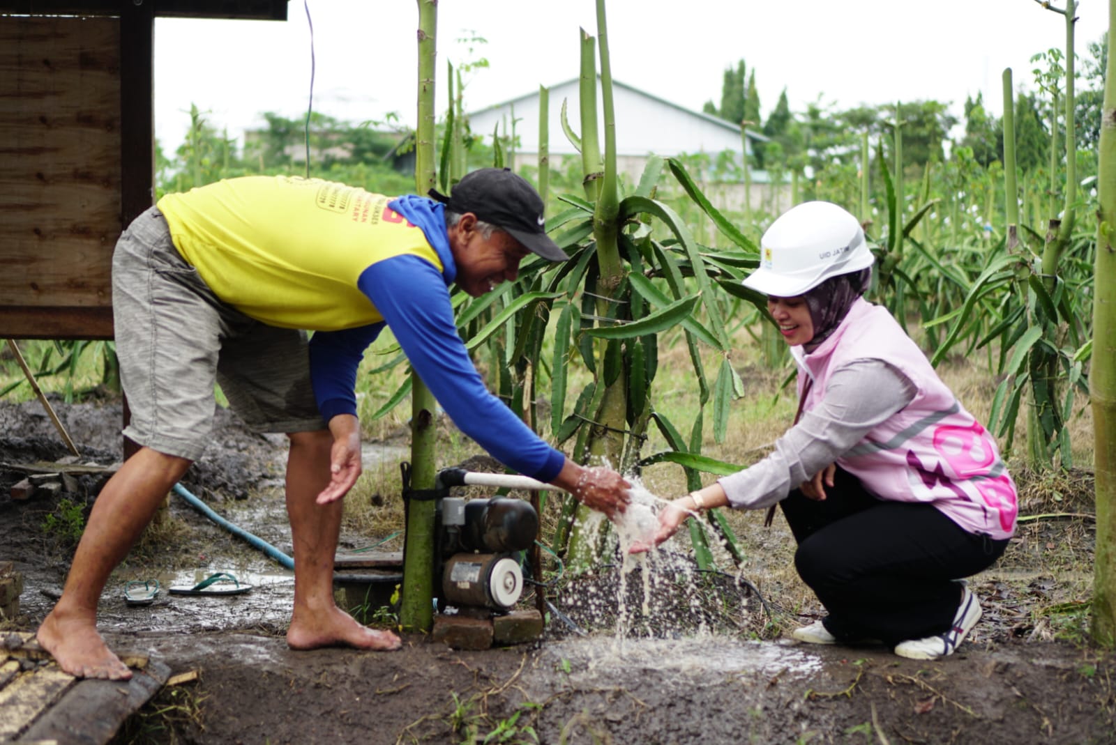 PLN UP3 Banyuwangi memberikan bantuan pompa kepada petani Desa Wringinpitu.