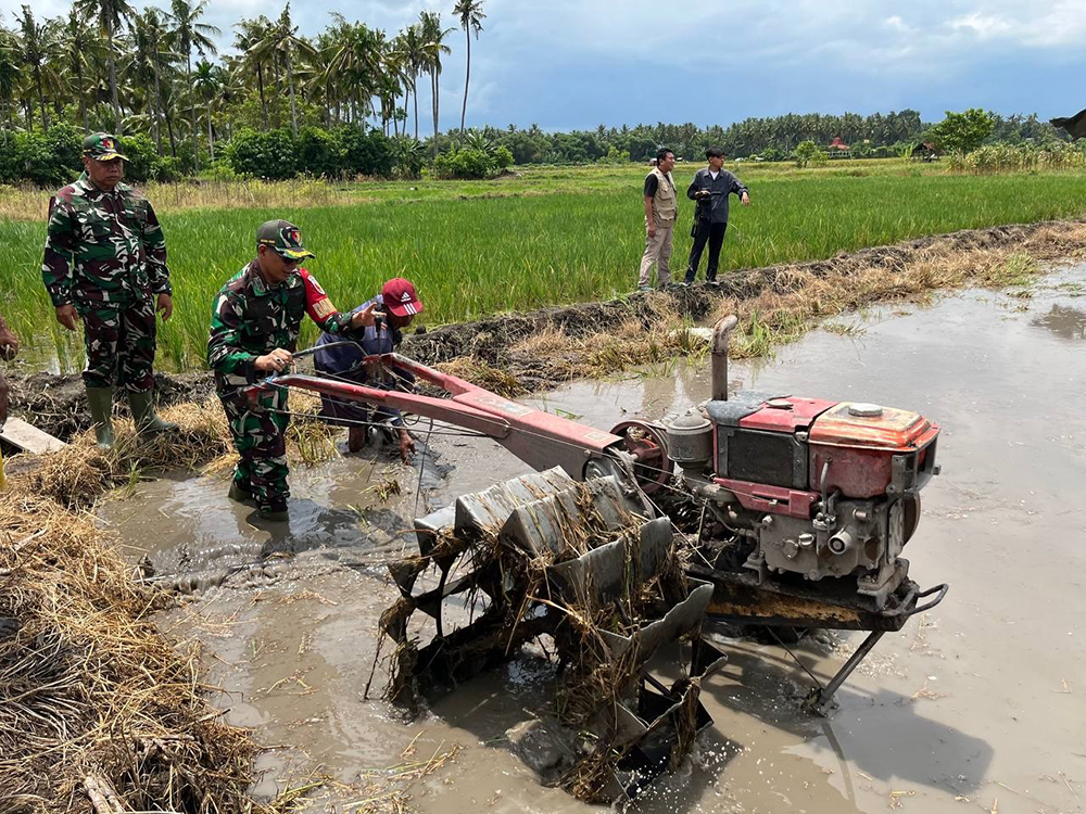 Dandim 0825 Letkol (Arh) Joko Sukoyo membajak lahan sawah di Kelurahan Sobo, Kecamatan Banyuwangi, Kamis (16/1).