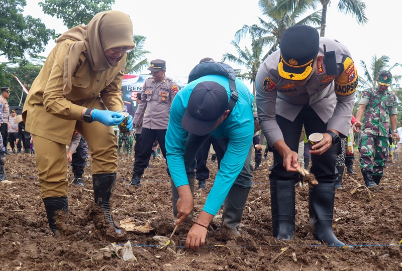 SWASEMBADA: Bupati Banyuwangi Ipuk Fiestiandani dan Kapolresta Banyuwangi Kombes Pol Rama Samtama Putra menanam benih jagung sebagai bentuk dukungan program swasembada pangan Selasa (21/1).