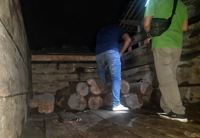 DIAMANKAN: Petugas memeriksa puluhan batang kayu jati yang ditemukan di atas truk colt diesel di Desa Sumberagung, Kecamatan Pesanggaran pada Senin (20/1) malam.