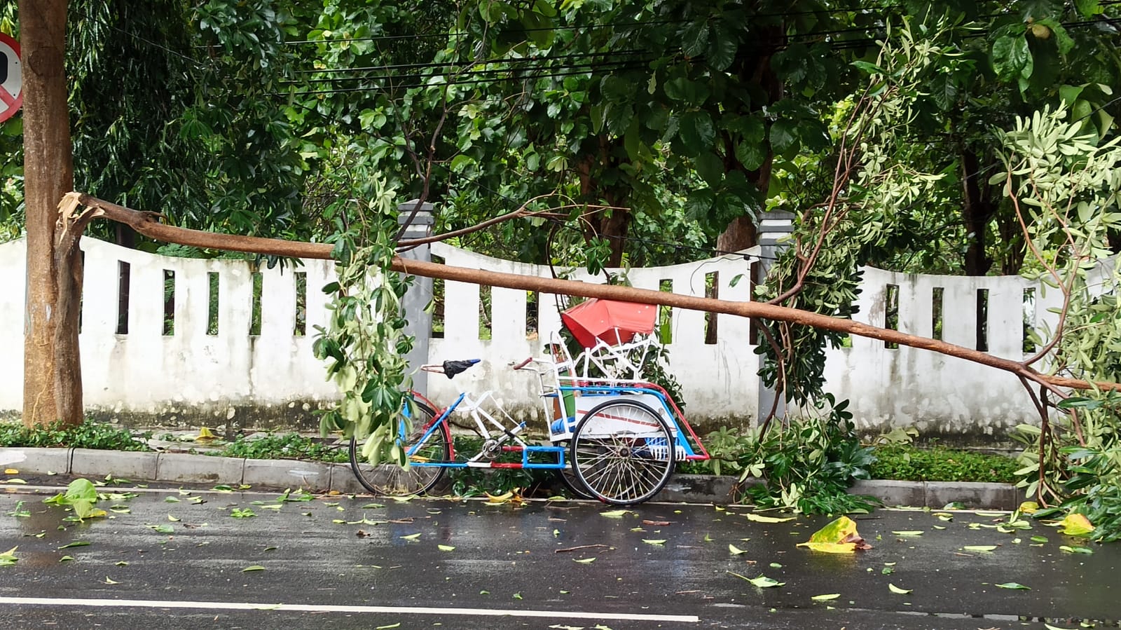 Angin kencang yang terjadi sekitar pukul 11:30 WIB itu menyebabkan banyak pohon tumbang, Minggu (9/2/2025).