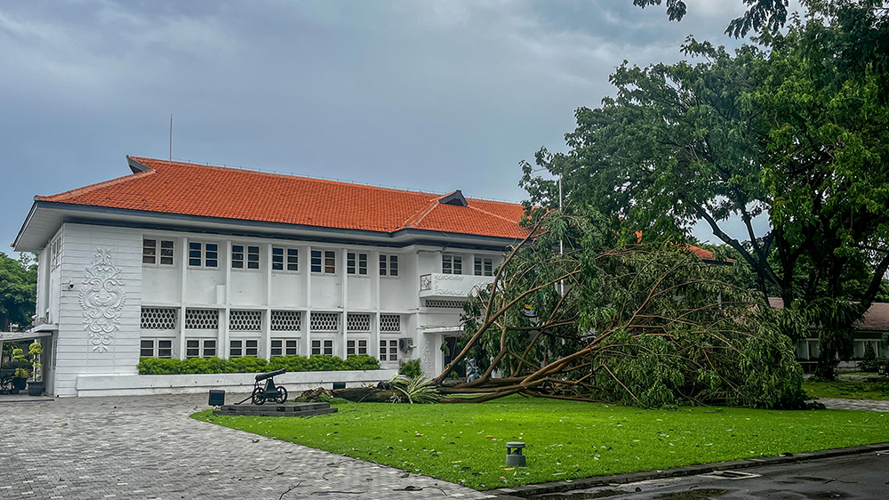 Pohon besar di halaman kantor Pemkab Banyuwangi tumbang diterjang angin kencang, Minggu (9/2).