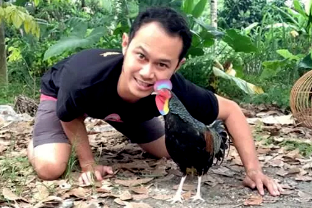 Ilustrasi memelihara ayam hutan. (Foto: Radar Tulungagung)