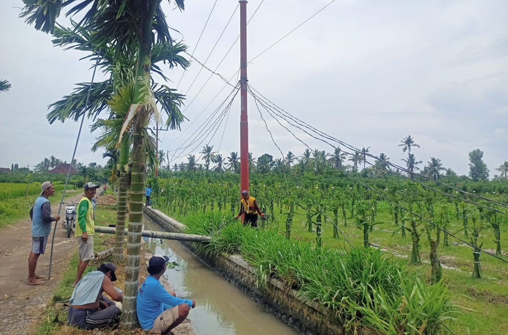 DIGANTI: Petugas memperbaiki tiang listrik di Dusun Tegalsari Lor, Desa Purwosari, Kecamatan Tegaldlimo yang ambruk diterjang angin kencang, Minggu (23/2).