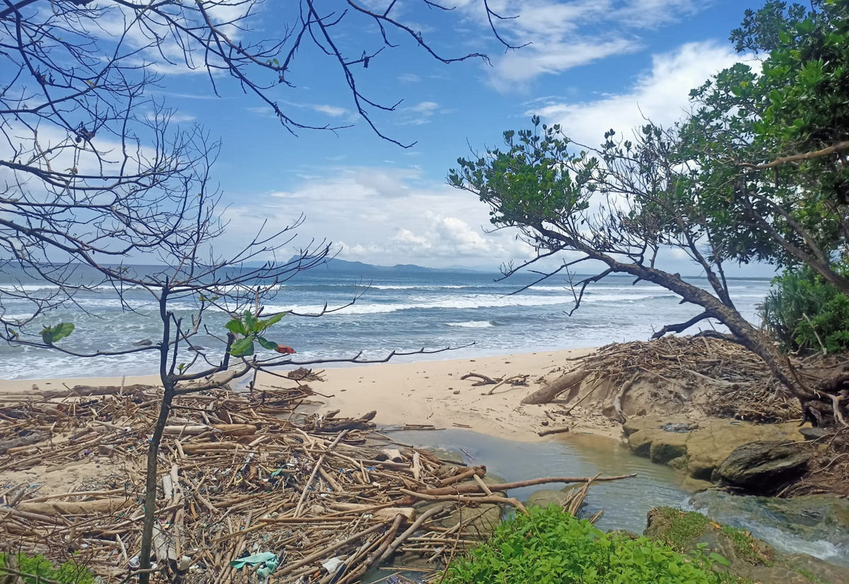 BERSERAKAN: Pantai Pancur di TN AP Dusun Kutorejo, Desa Kalipait, Kecamatan Tegaldlimo dipenuhi sampah kayu Rabu (26/2).