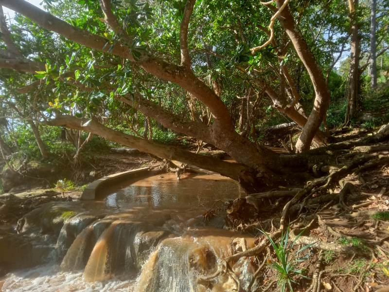 MANJUR: Pemandian Sendang Pancuran di sekitar Pantai Pancur, TNAP, Dusun Kutorejo, Desa Kalipait, Kecamatan Tegaldlimo ini salah satu tempat ritual dan dipercaya dapat menyembuhkan berbagai penyakit,