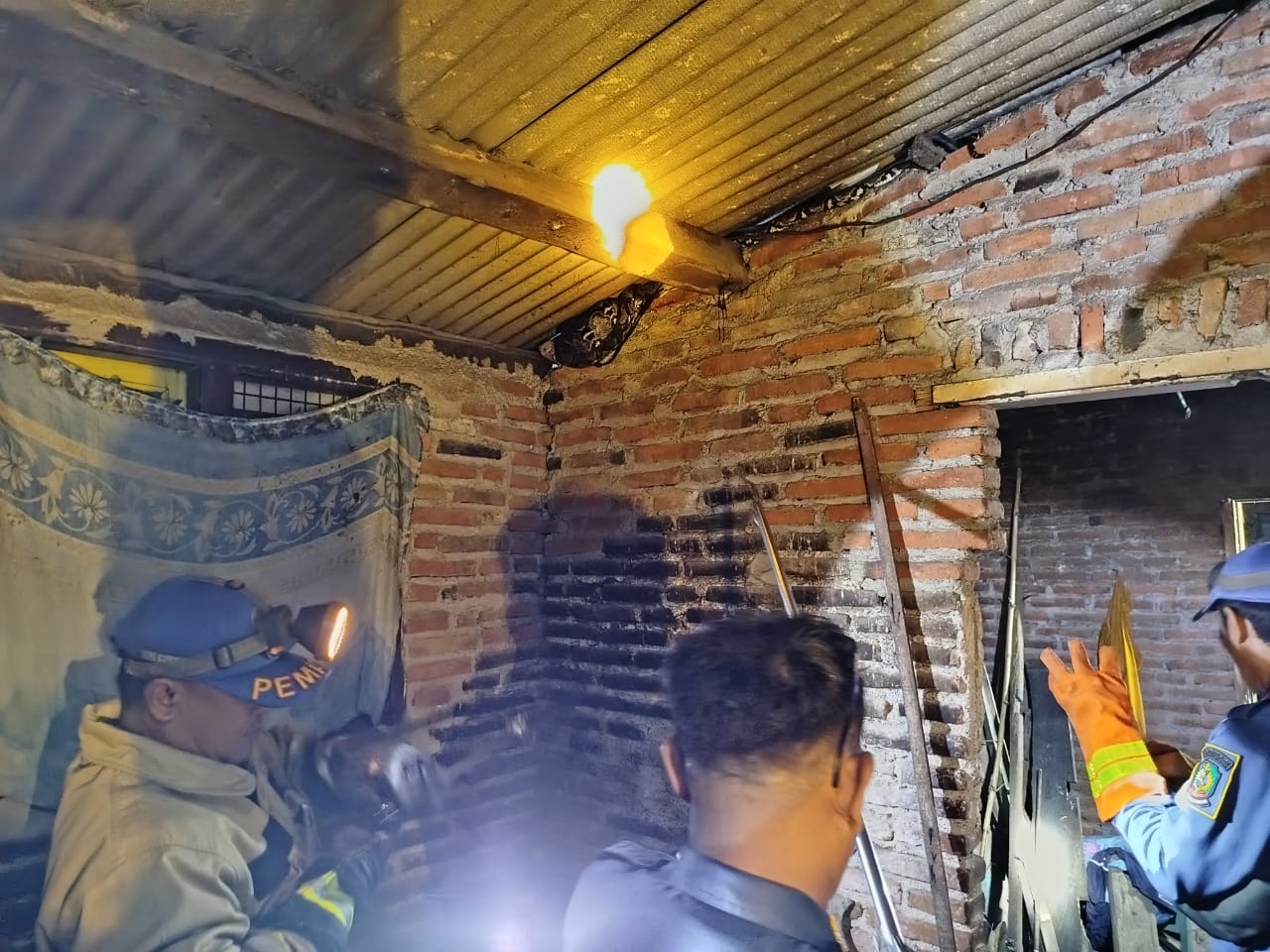 DIEVAKUASI: Petugas Damkarmat Banyuwangi mengevakuasi ular piton di rumah Mujiono di Lingkungan Sukowidi, Kelurahan Klatak, Kecamatan Kalipuro, Rabu dini hari (5/3).