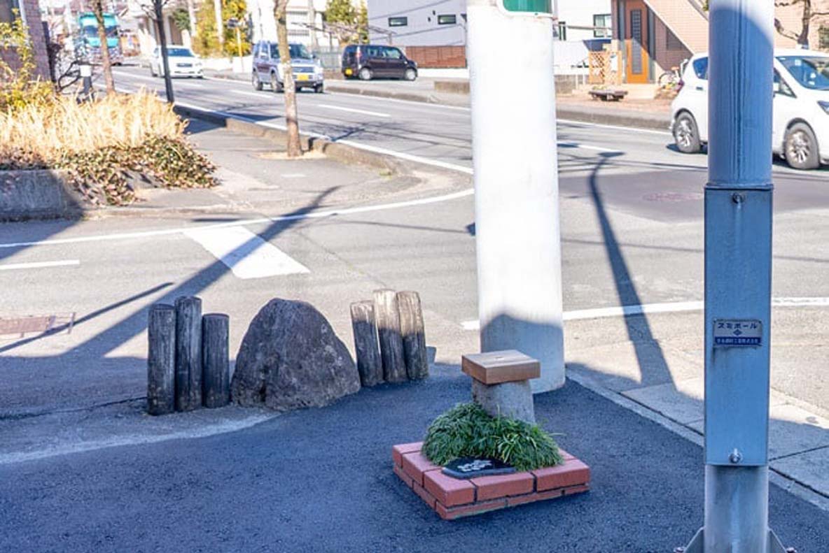 Taman terkecil di dunia ada di Jepang. (Foto: Guinness World Records)