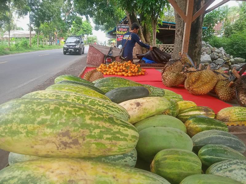 BERHARAP: Salah satu enjual buah di pinggir jalan Dusun Krajan Wetan, Desa Wonosobo, Kecamatan Srono menata buah yang akan dijual Minggu (16\3).