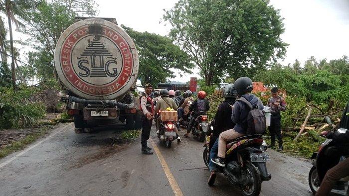MACET TOTAL: Insiden pohon tumbang di Selemadeg mengakibatkan  kemacetan parah