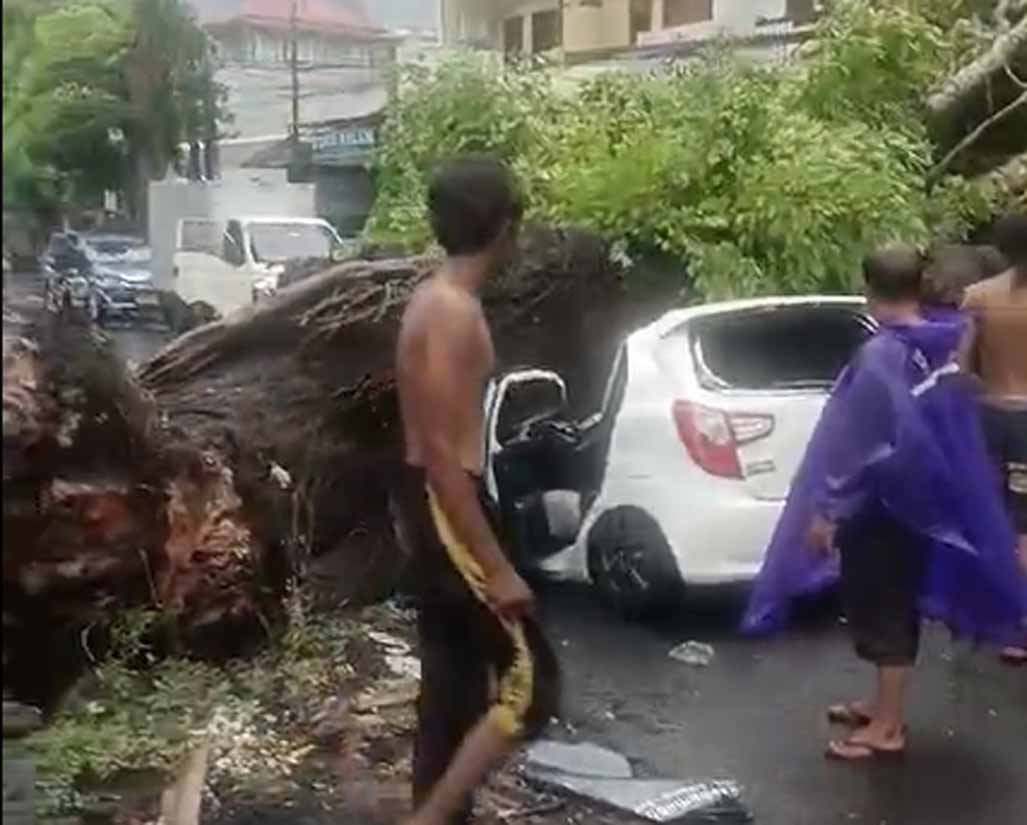 Mobil putih nopol DK 1478 FBJ tertimpa pohon tumbang di Jalan Raya Kuta, Badung, Bali, Sabtu (22/3). (Tangkapan Layar Video Medsos)