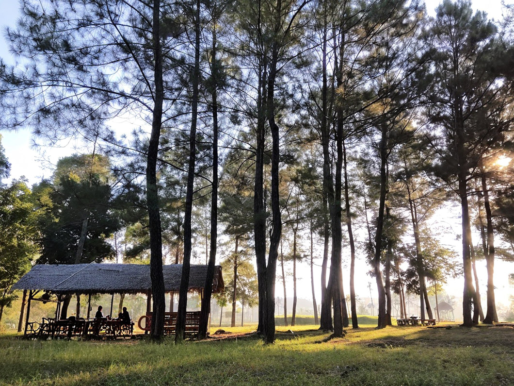 TAK BEROPERASI: Destinasi wisata alam Jambewangi Jungle Lodge di kaki Gunung Raung yang dulu sempat hits kini tutup.