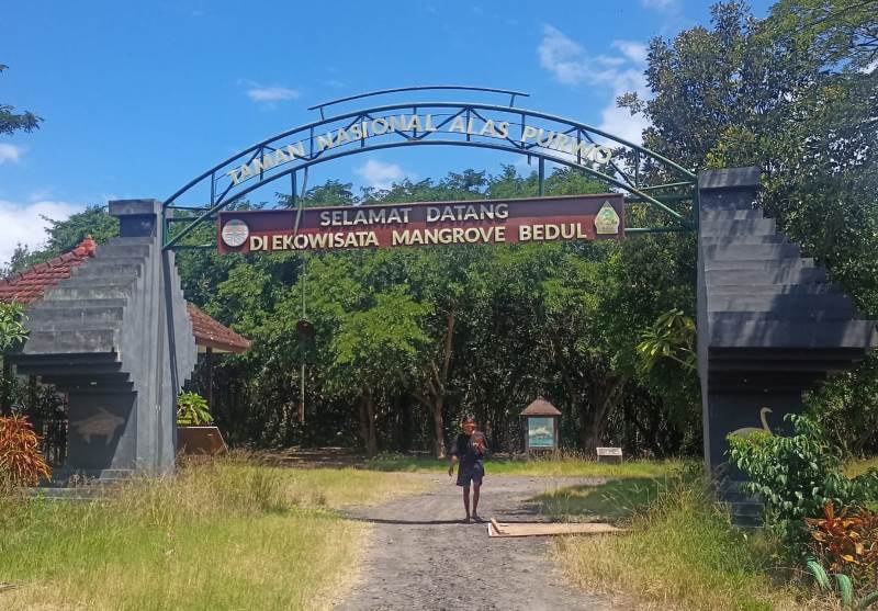 PINTU MASUK: Ekowisata Mangrove Bedul di Desa Sumberasri, Kecamatan Purwoharjo yang trend di awal 2000 sampai 2015 kini tidak terurus dan terbengkalai Senin (7/4).