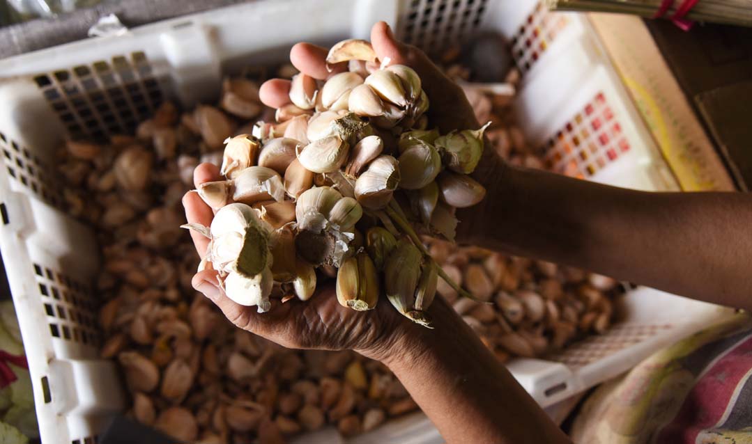 TERSEDIA: Bahan baku bawang putih sangat mudah didapat di pasar tradisional.