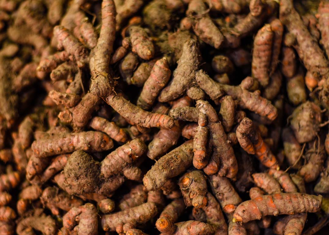 MUDAH DAN MURAH: Rimpang kunyit banyak dijual di pasar tradisional dengan harga terjangkau.