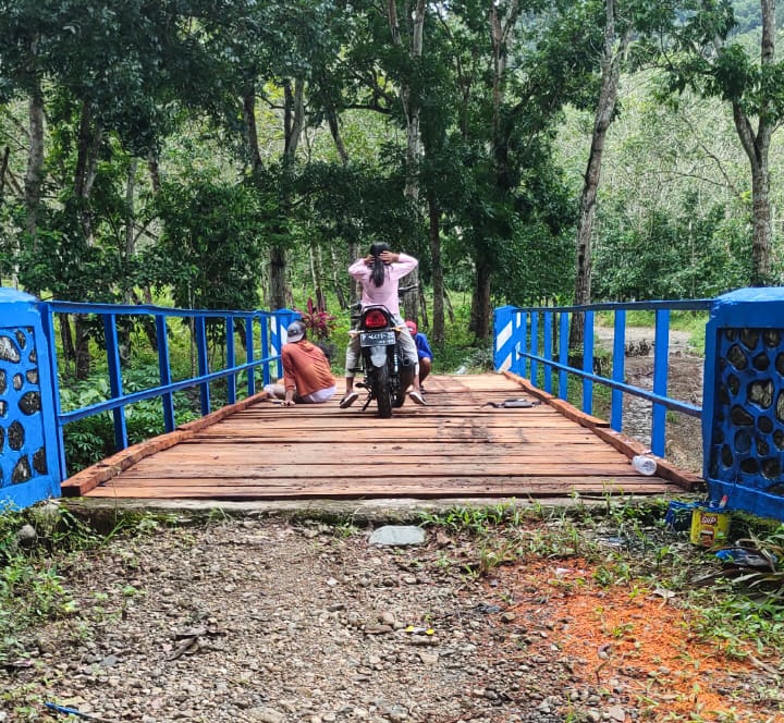 DIPOLES: Jembatan kayu selebar tiga meter dengan panjang 11 meter menuju Dusun Sukamade bisa dilewati warga Rabu (16/4).