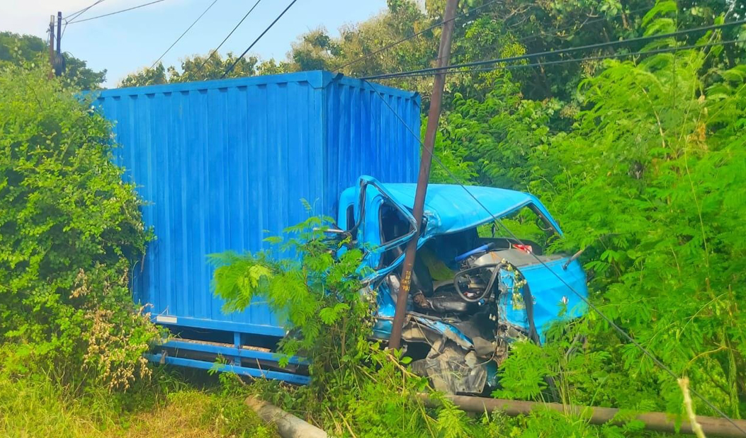 LAKA TUNGGAL: Truk Box bernopol B 9065 VDA masuk semak-semak di Pinggir Jalan Raya, Desa Pecaron, Kecamatan Kendit, Kamis (17/4).