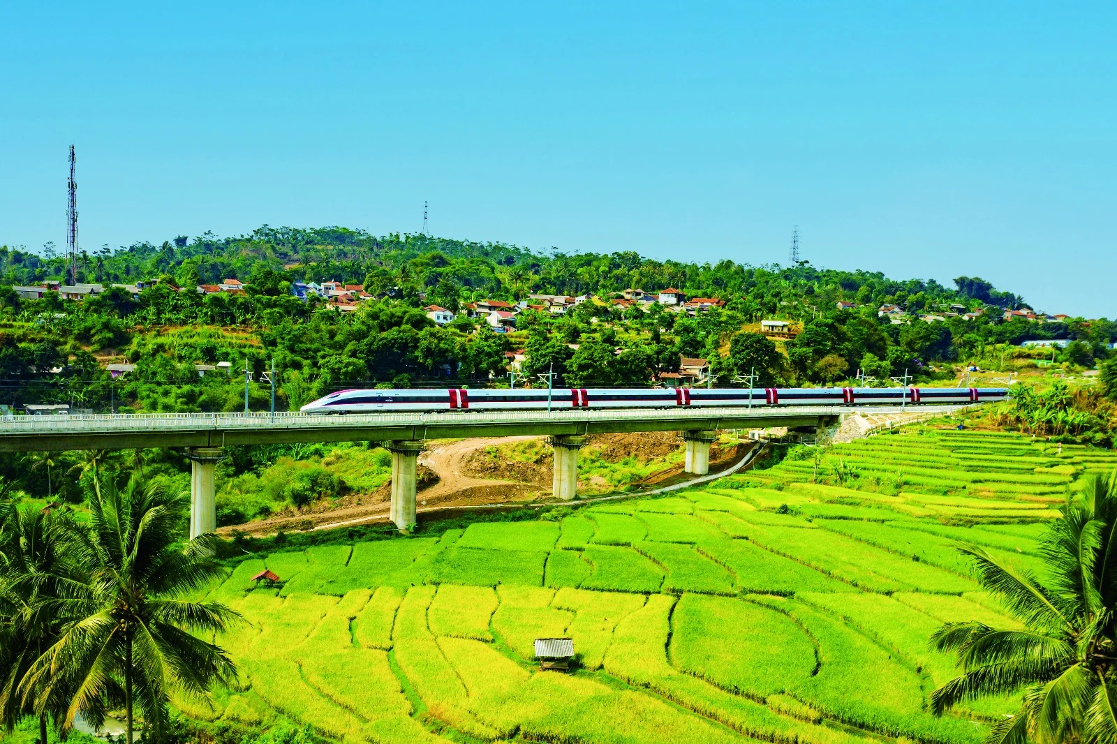 Kereta Cepat Whoosh mencatat lonjakan pelanggan WNA hingga 79,9% pada awal 2025, menunjukkan tren positif transportasi modern di Indonesia.