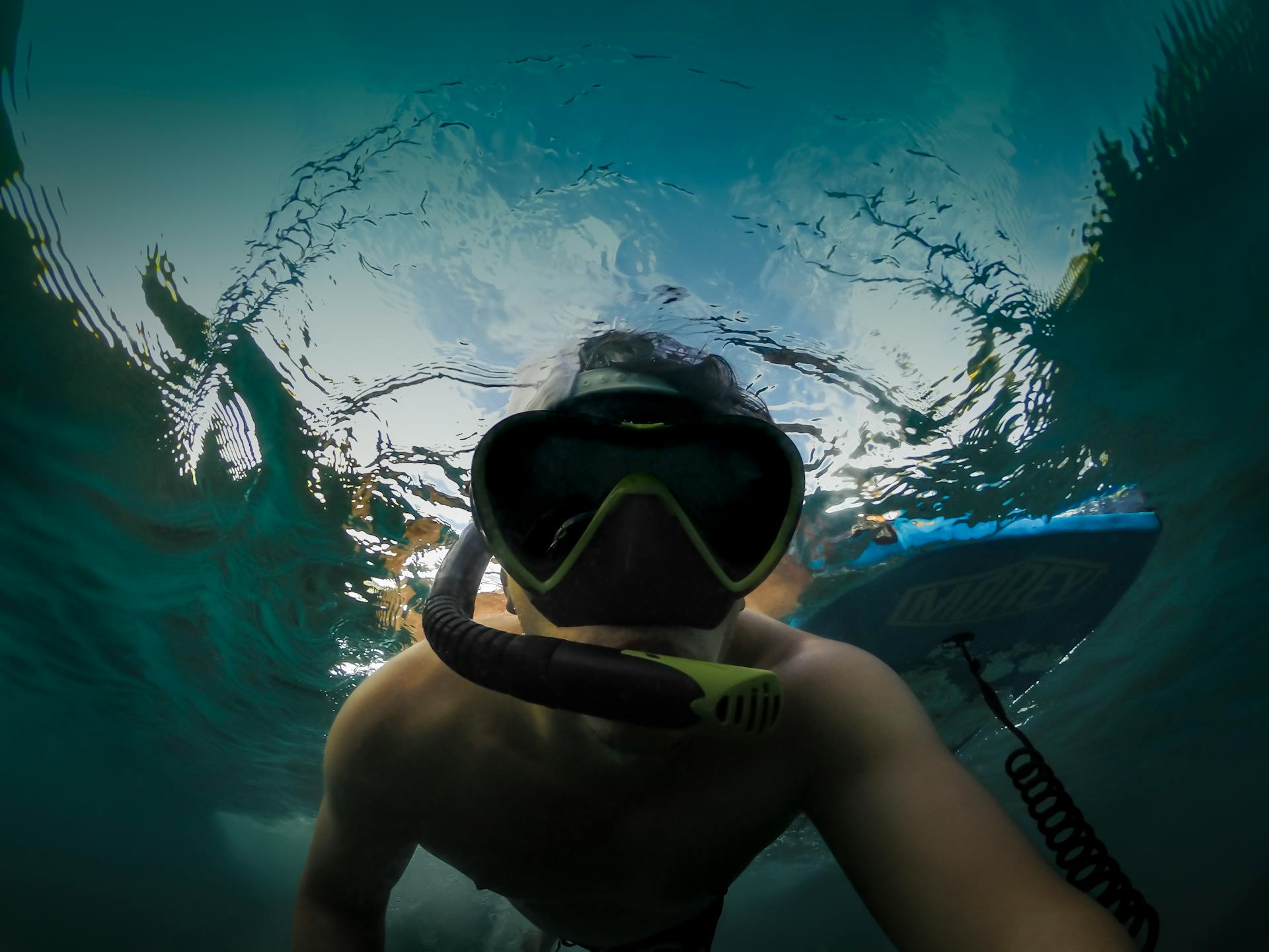 Freedive menawarkan pengalaman unik untuk jelajahi kehidupan bawah laut.