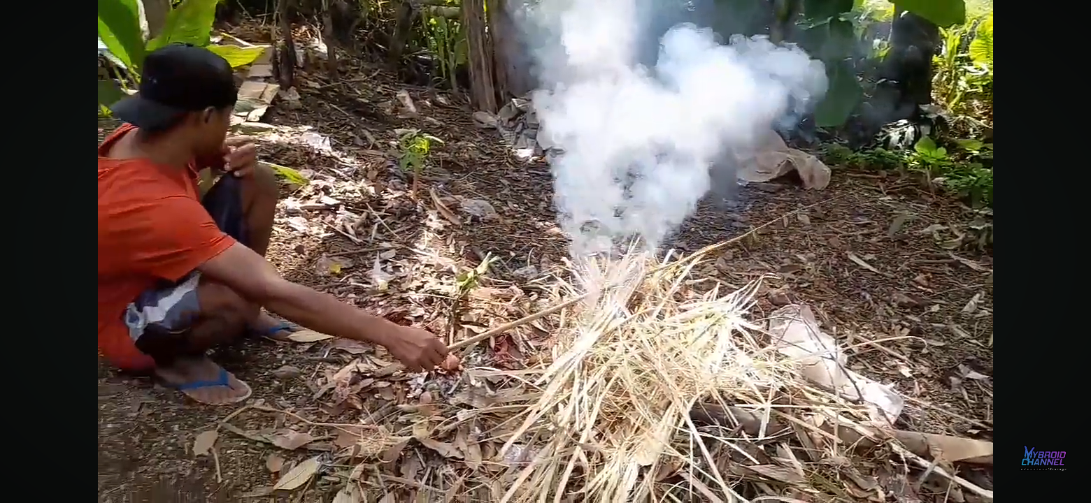 Membuat joran pancing dari bambu petung.