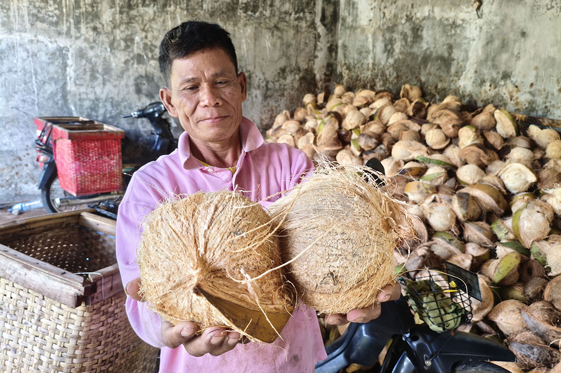 TERSENYUM: Ponirin, petani kelapa asal Desa Sugihwaras, Kecamatan Glenmore, menyetorkan hasil panen ke gudang pengepul di Kecamatan Sempu beberapa hari lalu (23/4).