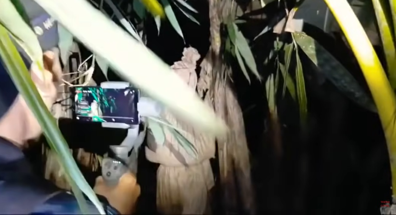 Pocong di kebun pisang (YouTube Triono Comal).