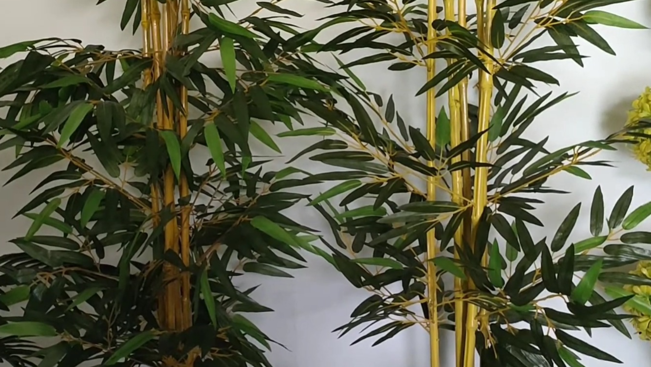 Pohon bambu kuning (YouTube Berkah Florist 2).
