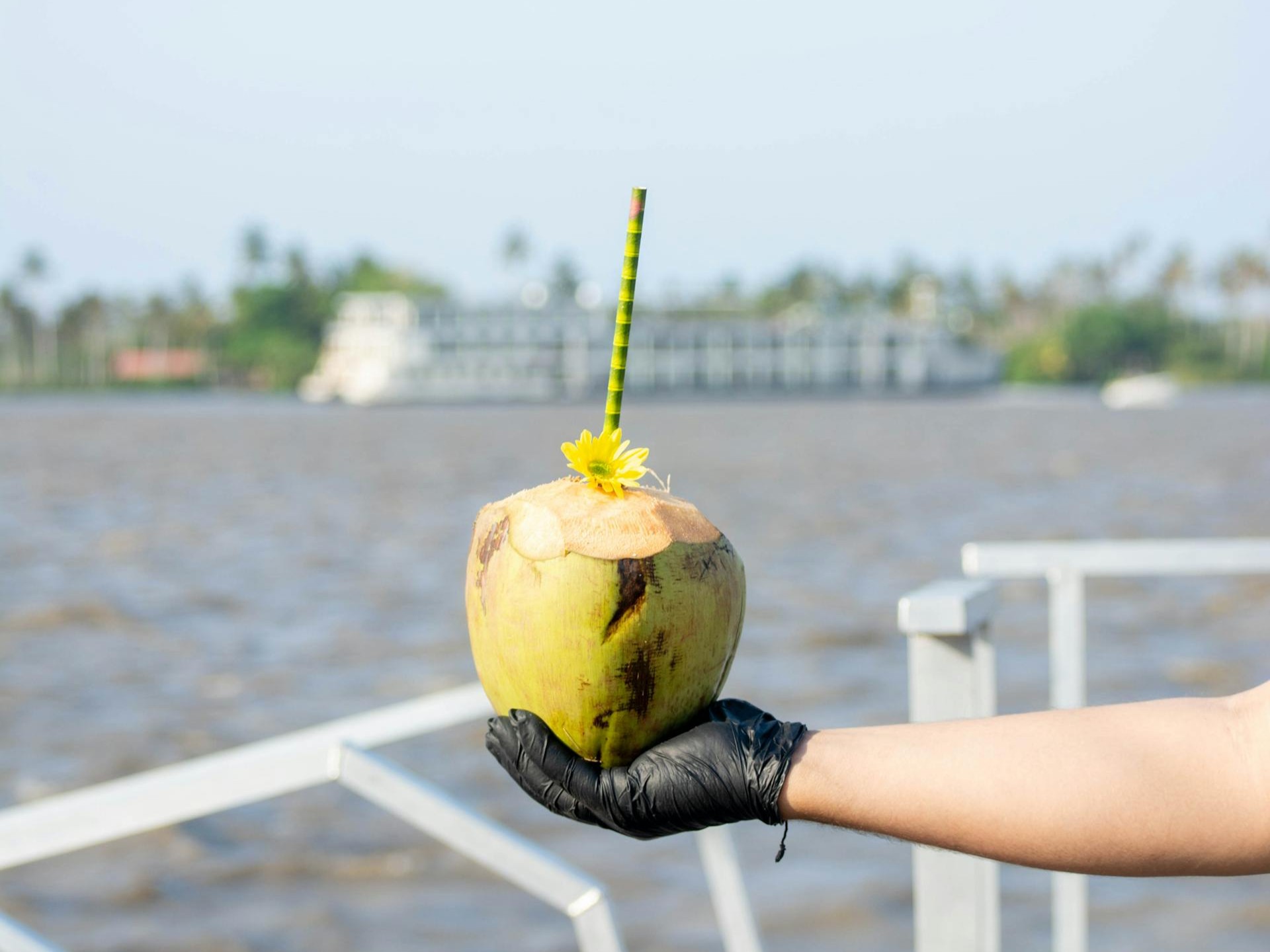 Mitos minum air kelapa saat hamil bisa membuat bayi lebih putih.