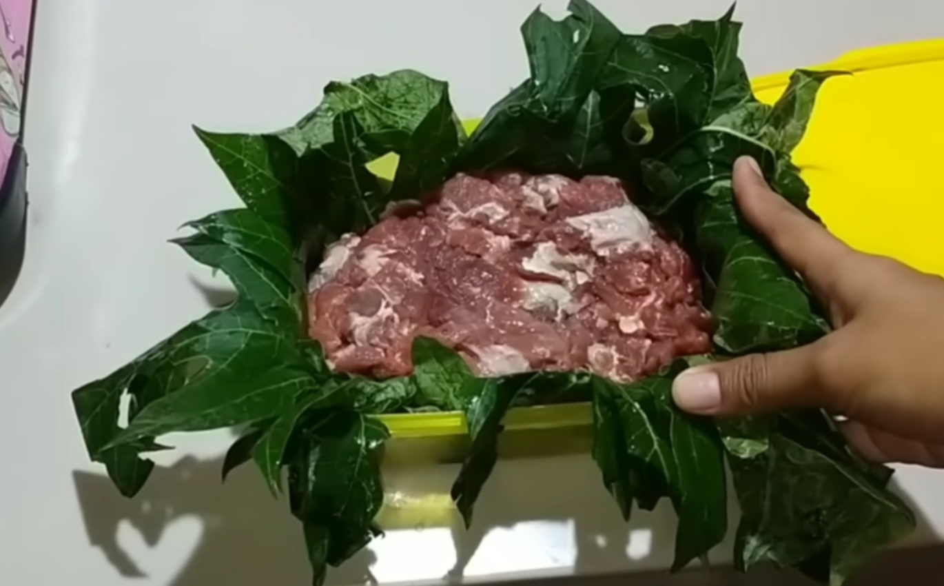 Metode mengempukkan daging dengan daun pepaya (YouTube Mimi momy).