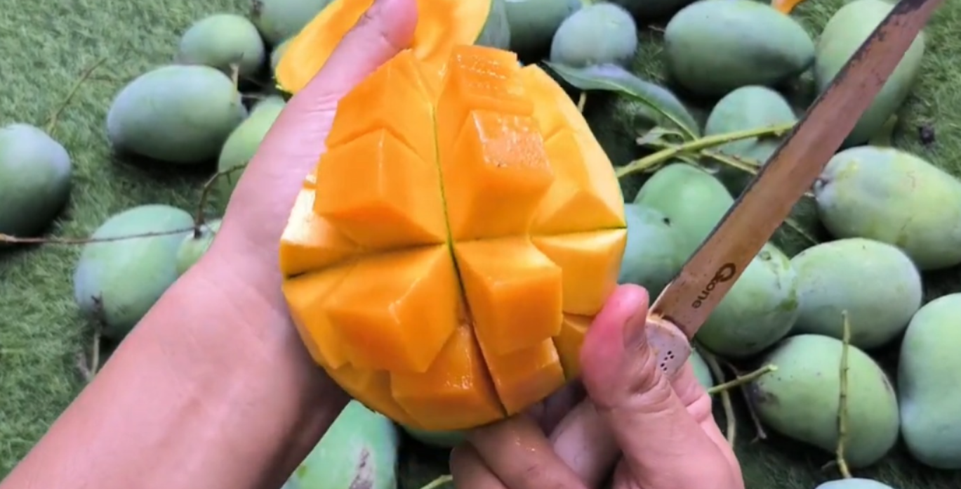 Mangga harum manis (YouTube Ariyu Family).