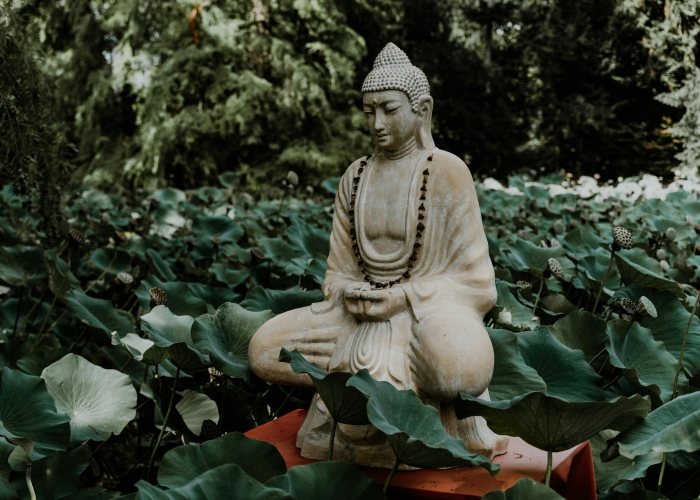 Negara mana yang memiliki jumlah umat Buddha terbanyak di dunia.