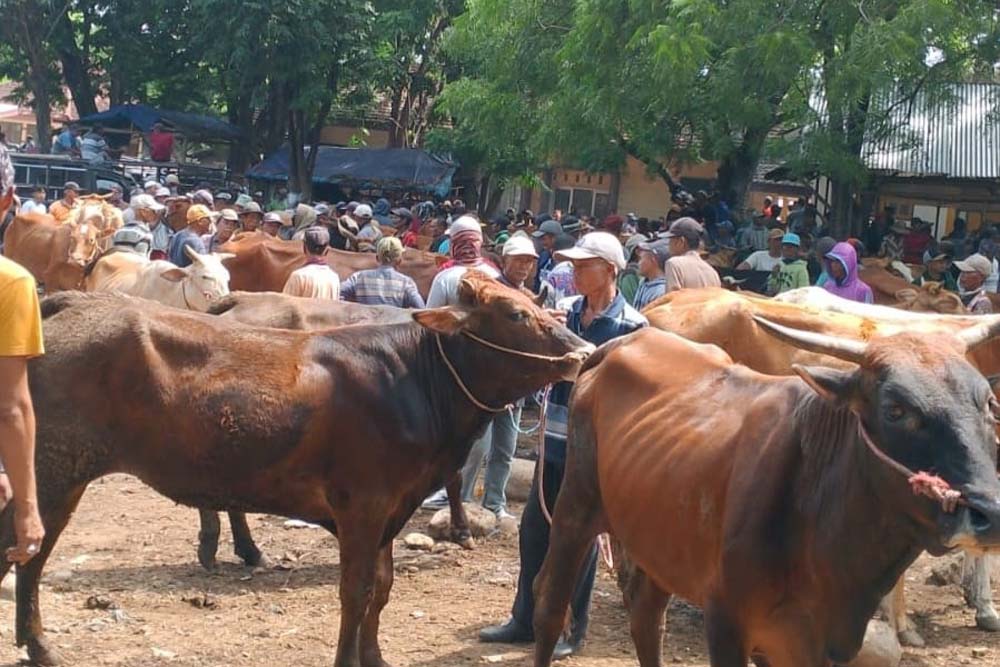 Beberapa pedagang dengan pembeli  melakukan tawar-menawar di Pasar Sapi Sattoan, Sabtu (10/5) lalu.