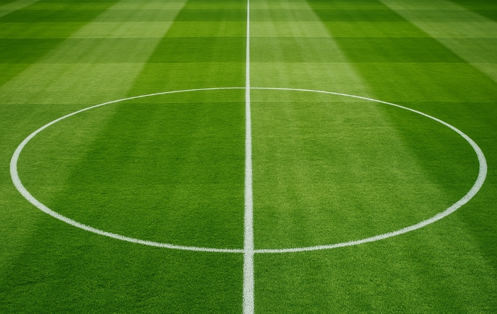 Pola lapangan sepak bola yang terlihat berpetak-petak.