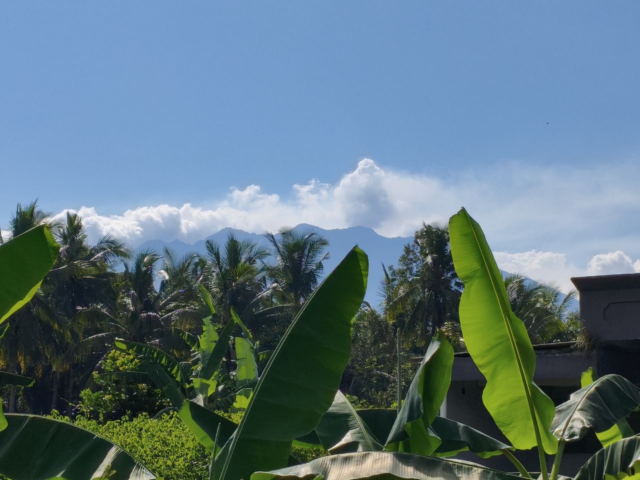 Gunung Raung Erupsi, Kamis 5 Juni 2025.