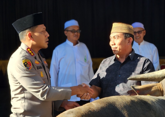Kapolresta Banyuwangi berkurban puluhan kambing dan sapi untuk diserahkan ke ponpes, ormas, dan organisasi mahasiswa.