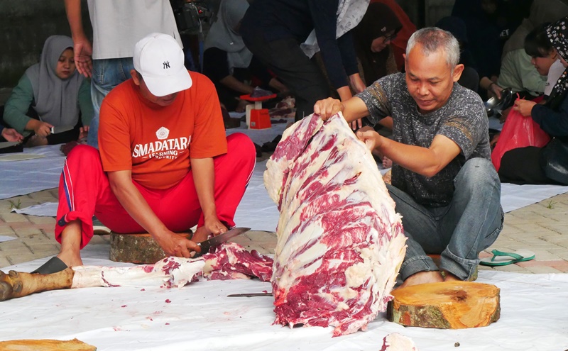 BAGI RATA: Panitia kurban di Smadatara memotong daging kurban sebelum dibagikan ke masyarakat pada Sabtu (7/6)