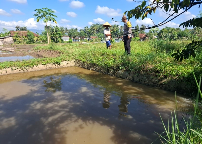 Polisi bantu peternak ikan nila di Banyuwangi demi ketahanan pangan.