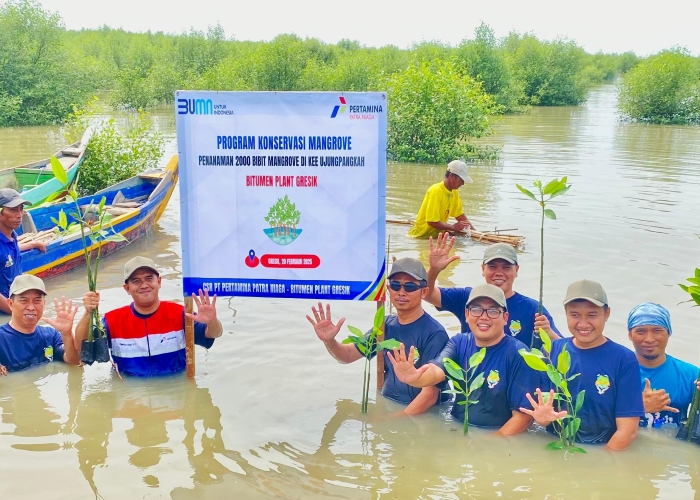 Pertamina tanam 2.000 mangrove di Gresik sebagai bentuk komitmen TJSL dan dukungan terhadap SDGs demi pelestarian ekosistem pesisir.
