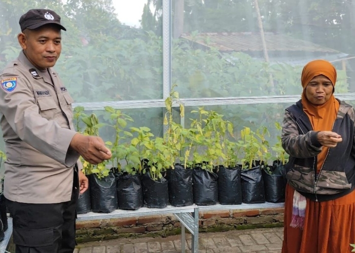 Polsek Giri dukung ketahanan pangan dengan dampingi warga tanam cabai di pekarangan.