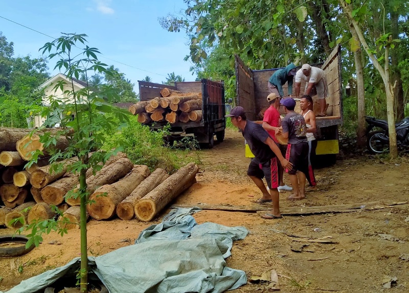 ILEGAL LOGGING: Petugas bersama burung angkut mengamankan puluhan gelondong kayu jati yang ditemukan di Dusun Krajan, Desa/Kecamatan Pesanggaran Selasa (24/6).