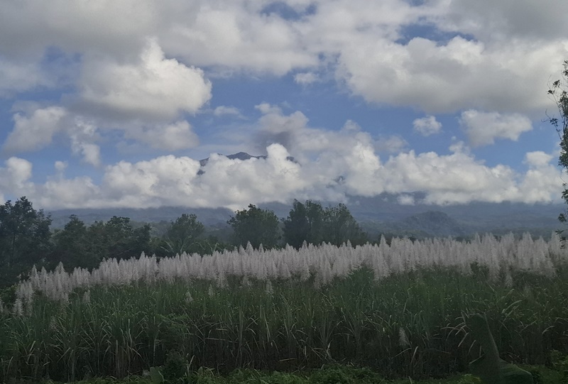 PANTAUAN: Puncak Gunung Raung teramati tertutup awan dari PPGA Raung di Desa Sumberarum, Kecamatan Songgon Rabu (2/7)