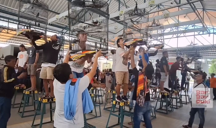Arti mimpi mengikuti lomba kicau burung.